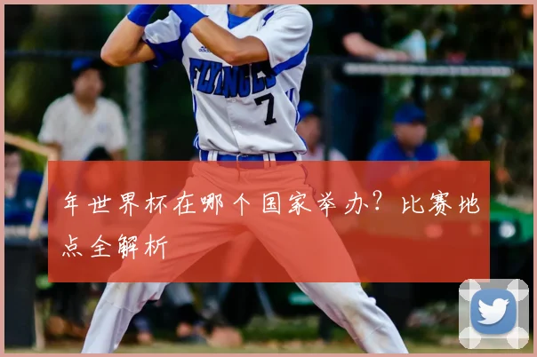 年世界杯在哪个国家举办?比赛地点全解析