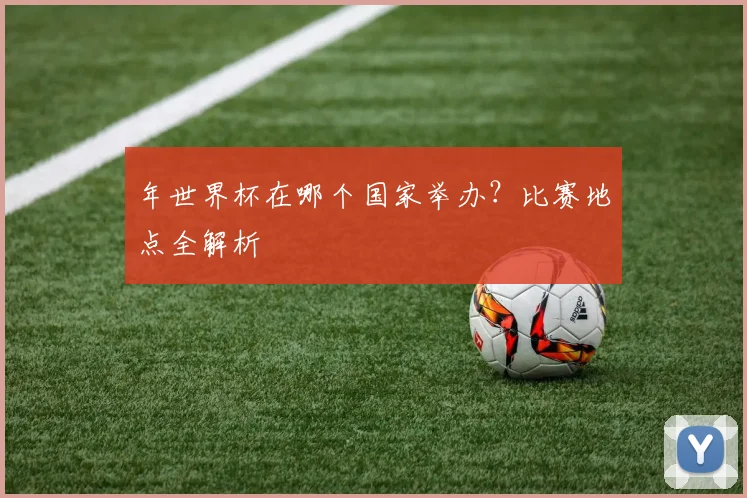 年世界杯在哪个国家举办？比赛地点全解析